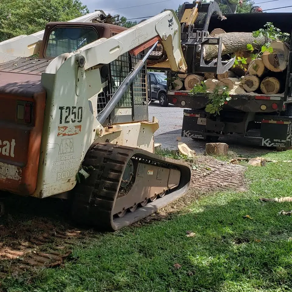 Lot clearing